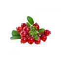 Scented Cube Cranberry
